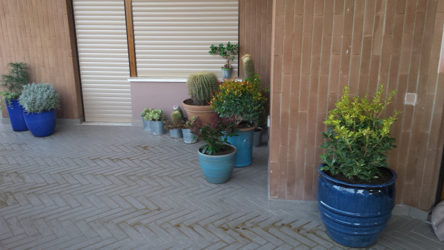 Terrazzo  Coviello shabby-chic-style-deck