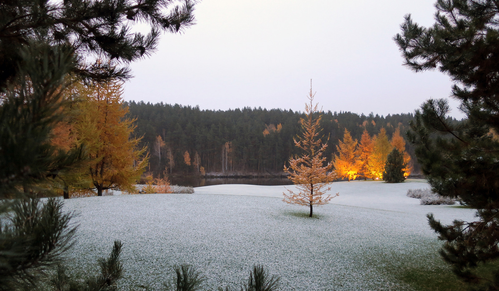 Новый пейзаж