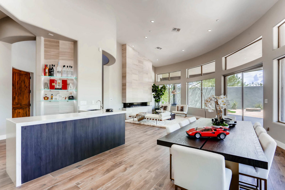 Modern Full Home Remodel