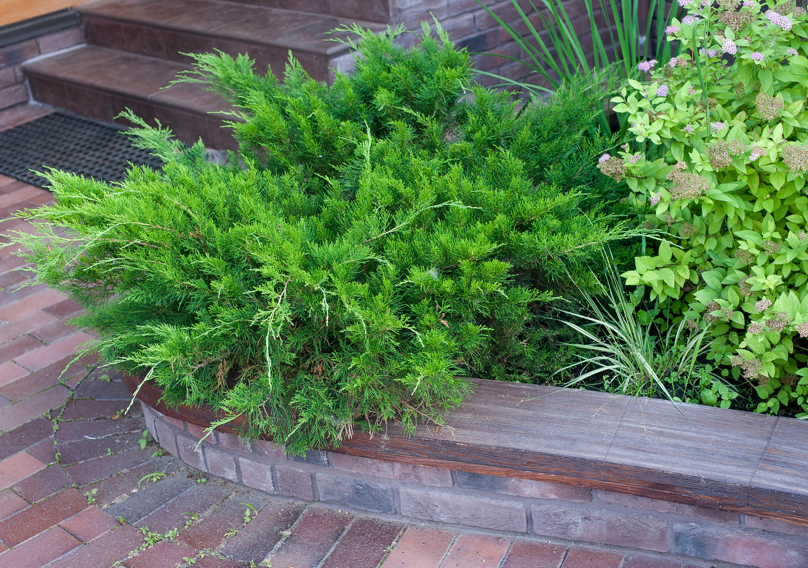 Истра кантри клаб