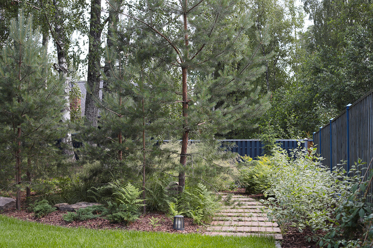 Солнечный берег