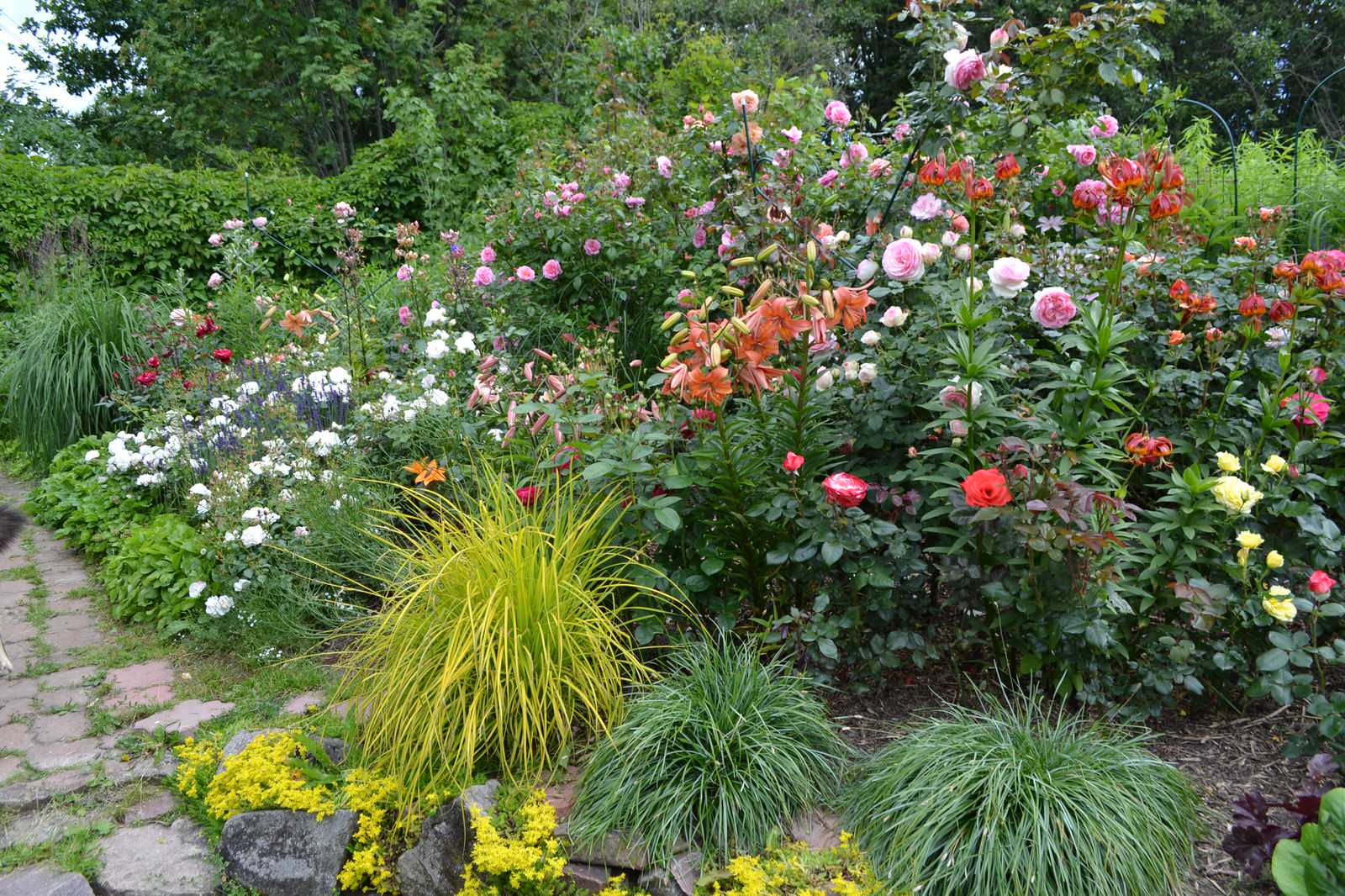Сад  «Моя цветущая планета».
