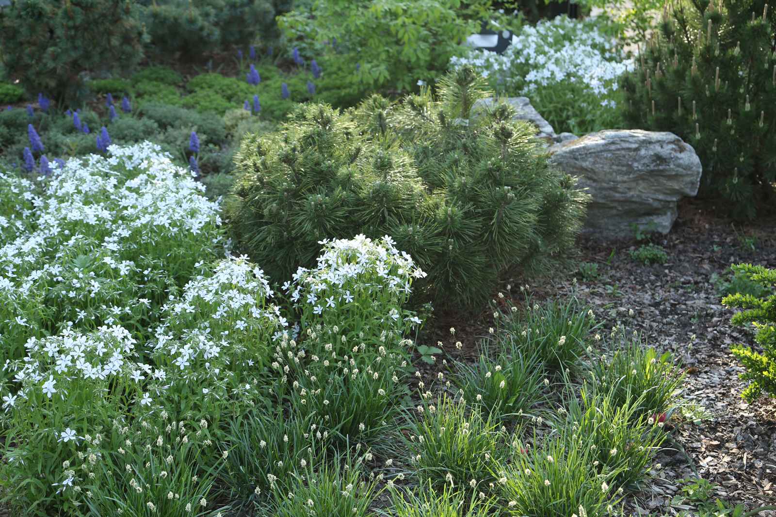 Северо-Запад