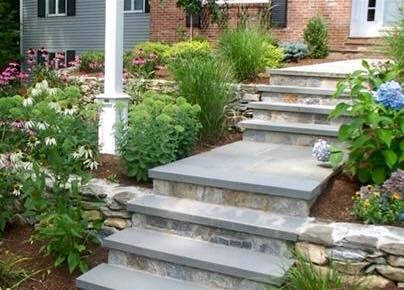 This is an example of a transitional landscaping in Chicago.