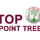 Top Point Tree