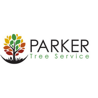 Parker Tree Service Longmont All information about Service
