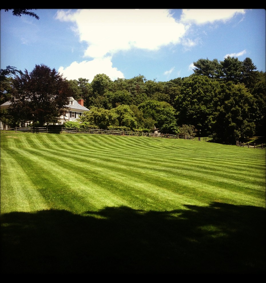 Inspiration for a transitional landscaping in Boston.