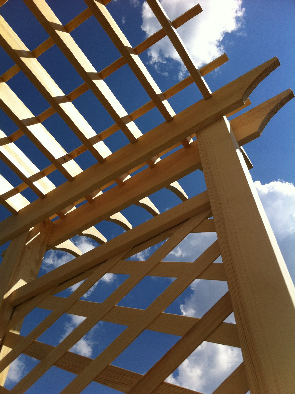 Сад на склоне. Реализация 2016 год