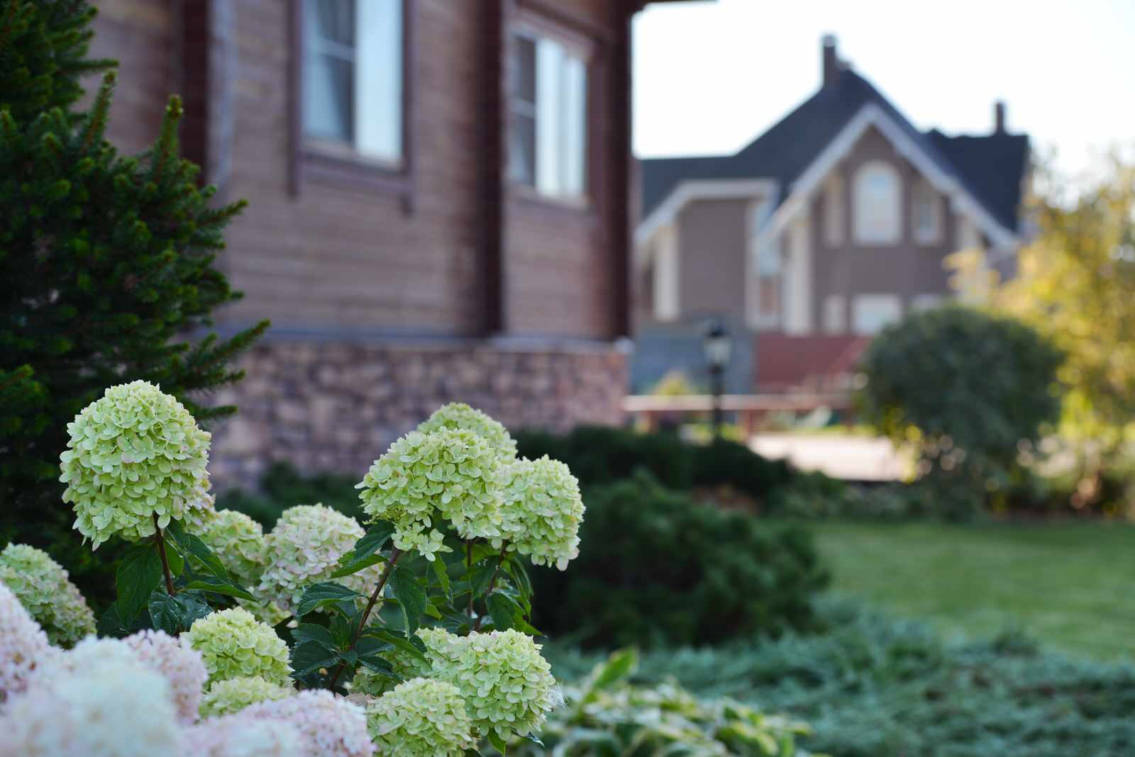 К/П "Лесная опушка-1"