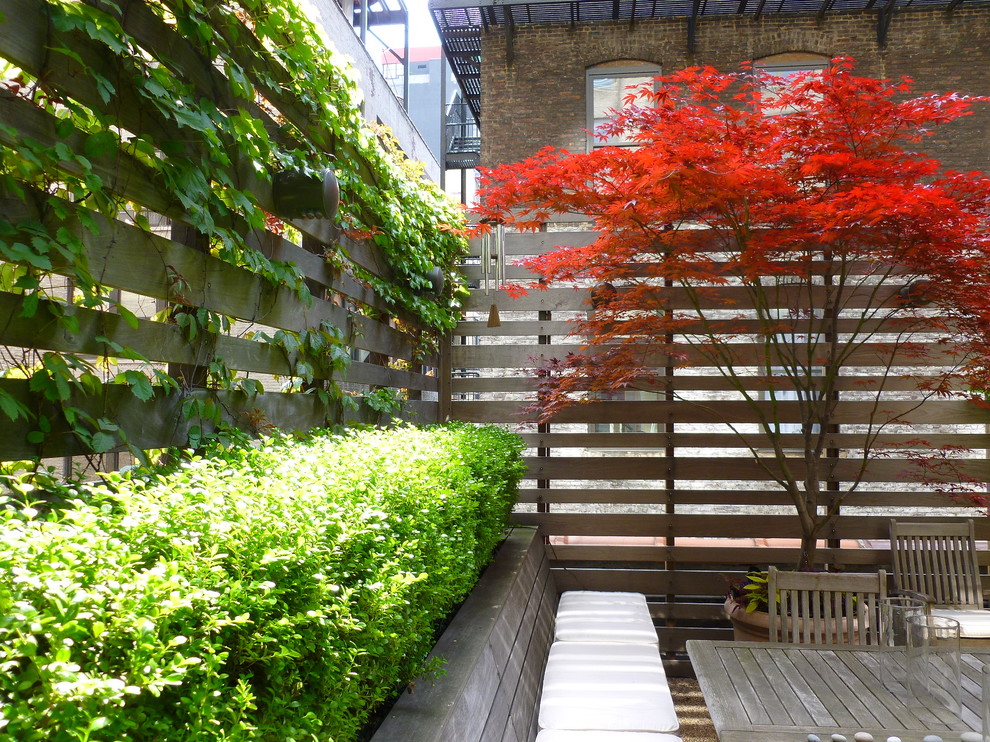 Inspiration for a large modern rooftop deck in New York with a vertical garden.