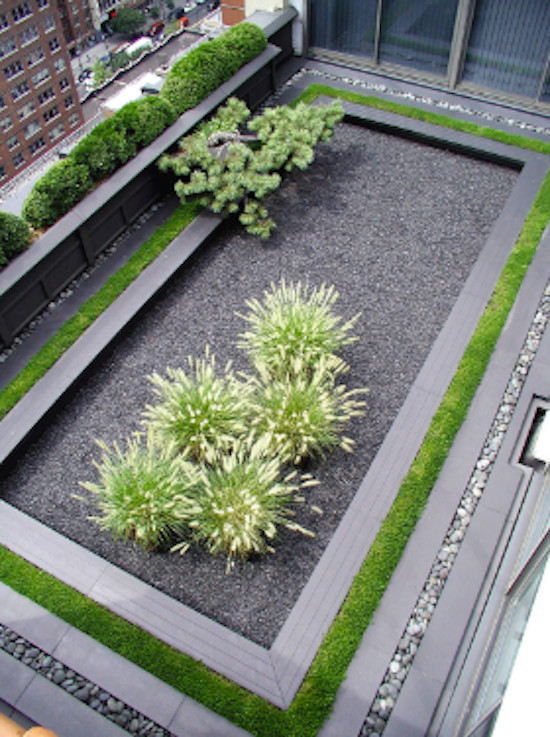 This is an example of a mid-sized contemporary courtyard patio in New York with a container garden, gravel and no cover.