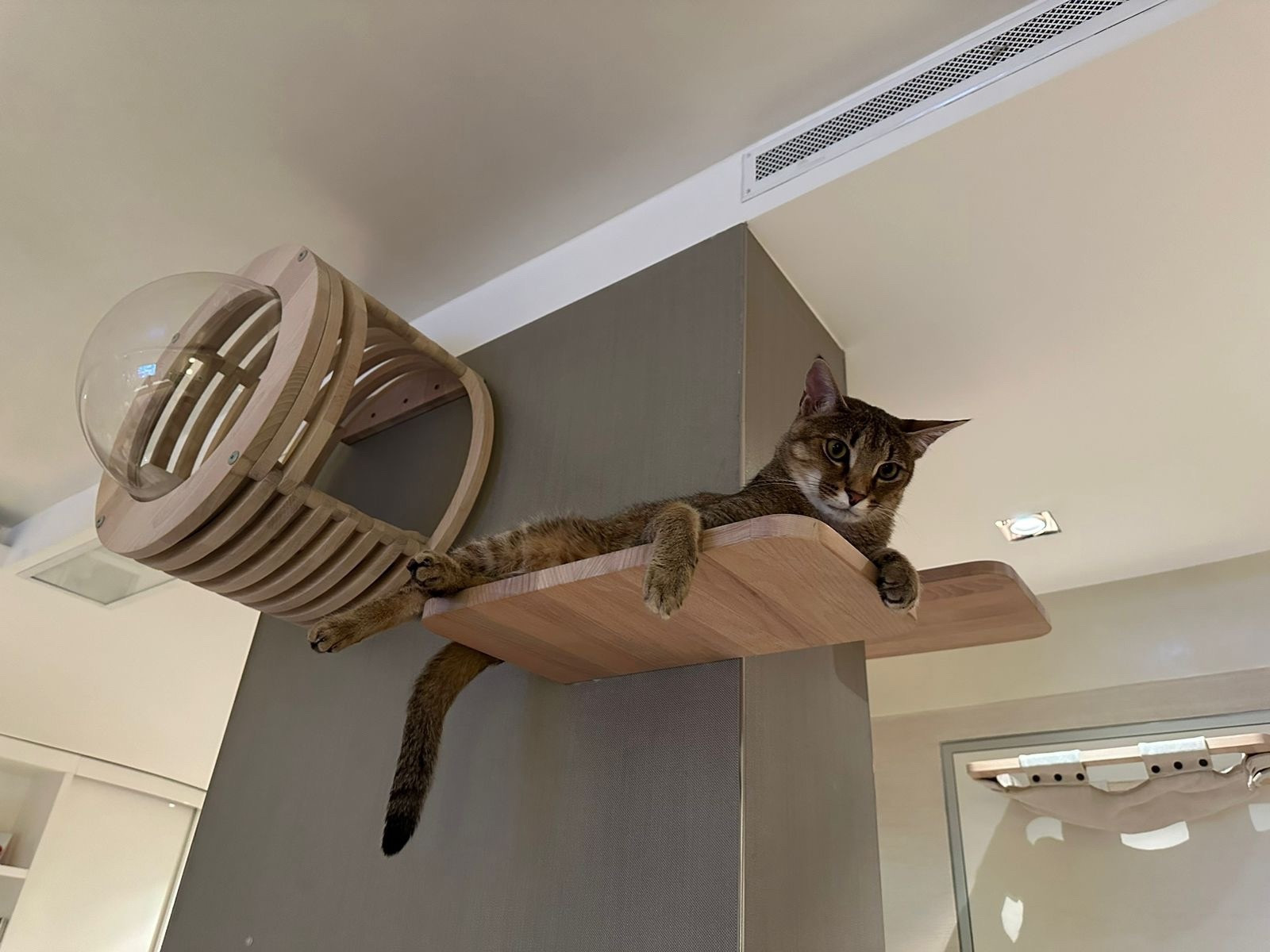 Игровой комплекс для кошек серии SOLID