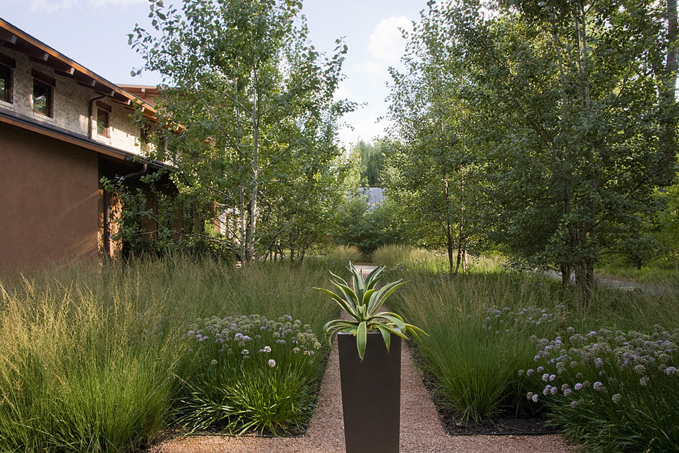 This is an example of a contemporary backyard garden in Chicago with gravel.