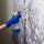 Palmetto Mold Removal Solutions