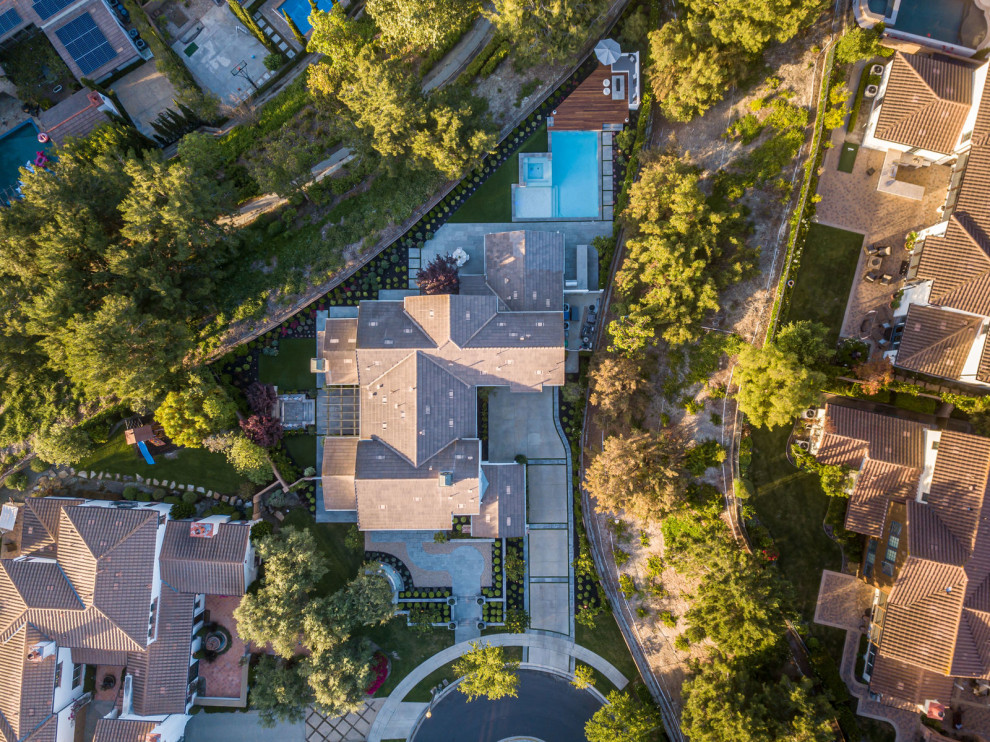 Contemporary Backyard