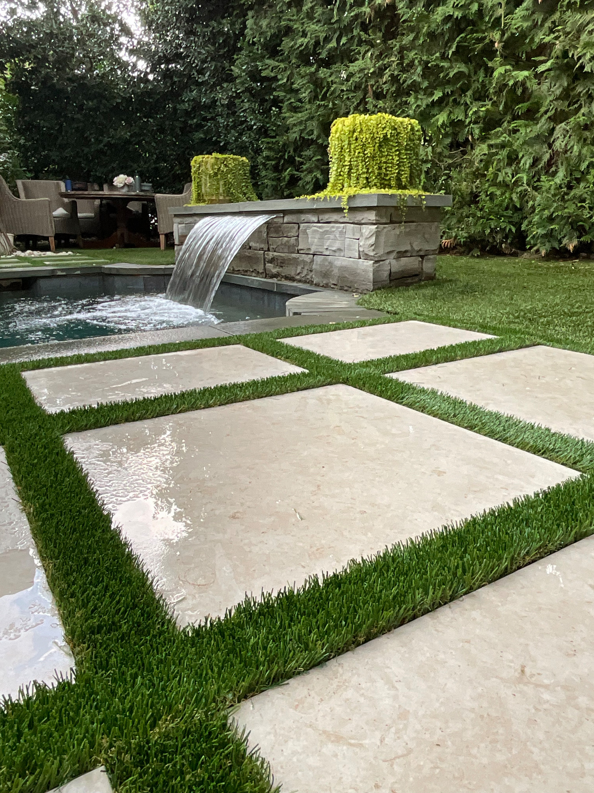 Back Yard Update
