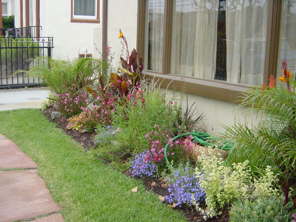 This is an example of a mid-sized eclectic front yard full sun garden in San Francisco with natural stone pavers.