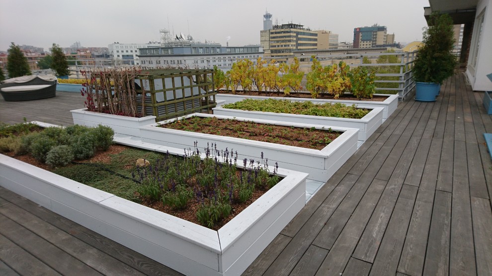 Зеленые кровли. Green roof