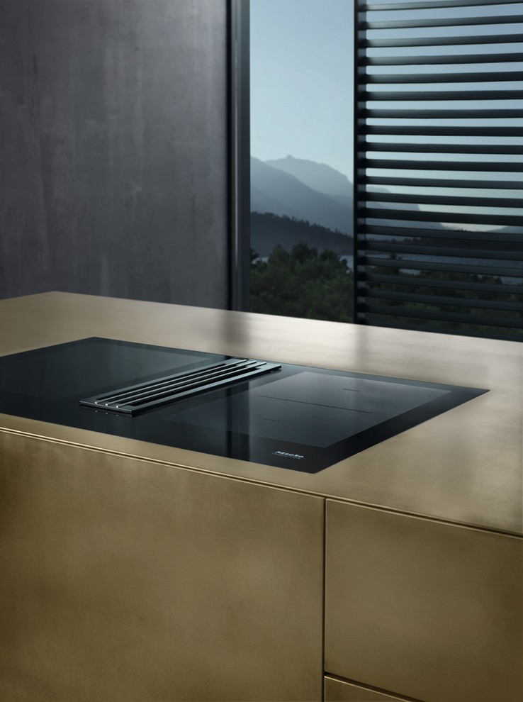 Индукционная панель конфорок со встраиваемой вытяжкой TwoInOne