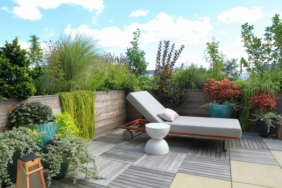 Foto di una terrazza moderna di medie dimensioni, sul tetto e sul tetto con un giardino in vaso, nessuna copertura e parapetto in legno