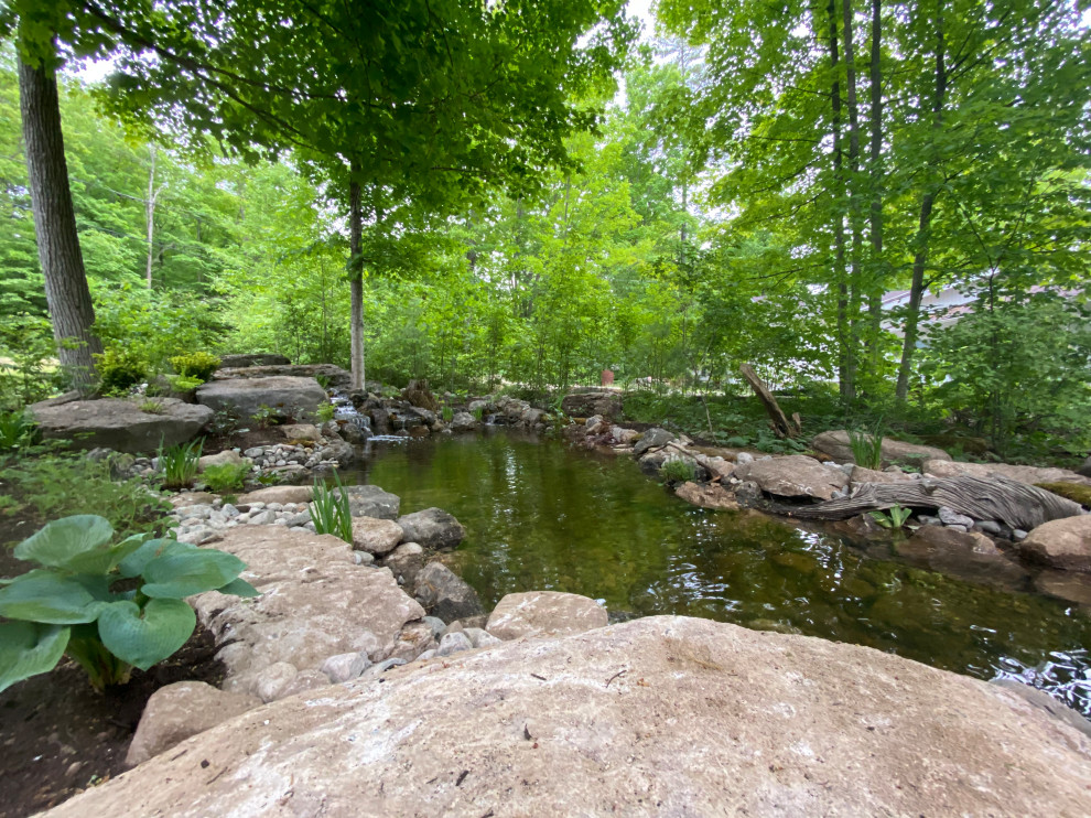 This is an example of a large rustic side yard pond.