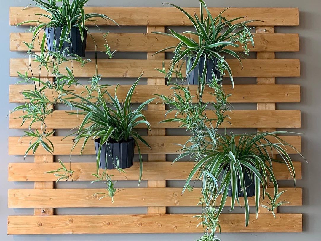 кофейня "История кофе"