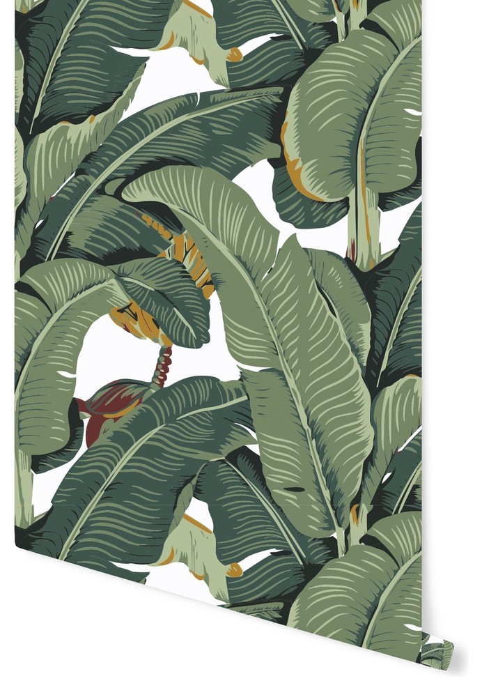 Banana Leaf Removable Wallpaper - Tropical - Wallpaper - by Accent Wall