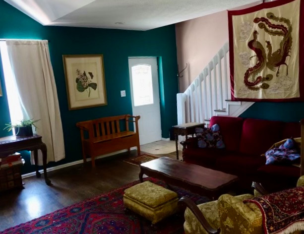 Emergency Mold Mitigation Rainbow House Repaint