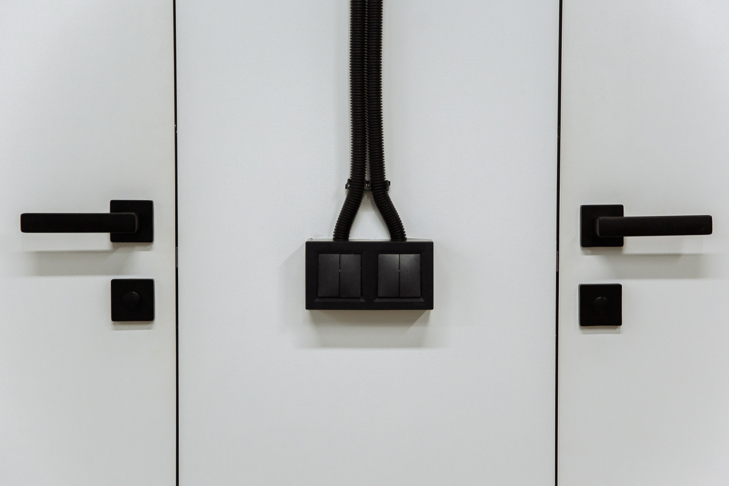 Build project. Office it company