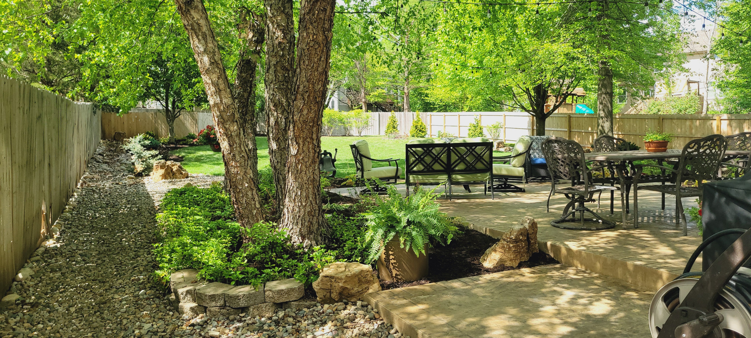 2025 Garden Highlights