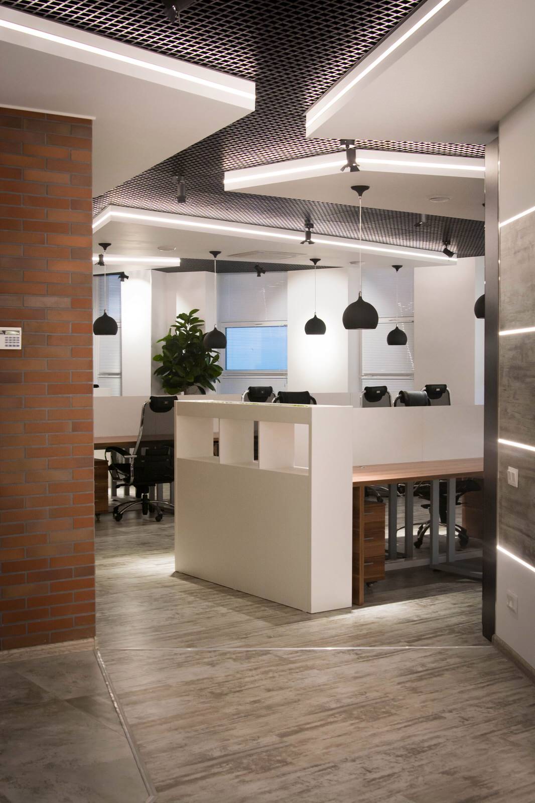 офис Тортуга