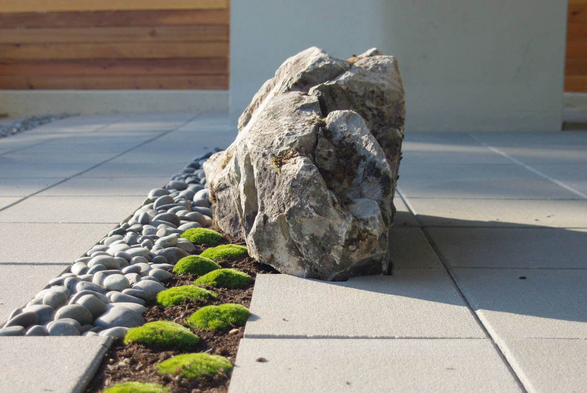 Tacked Rocks Dare to Mix Things Up in the Landscape