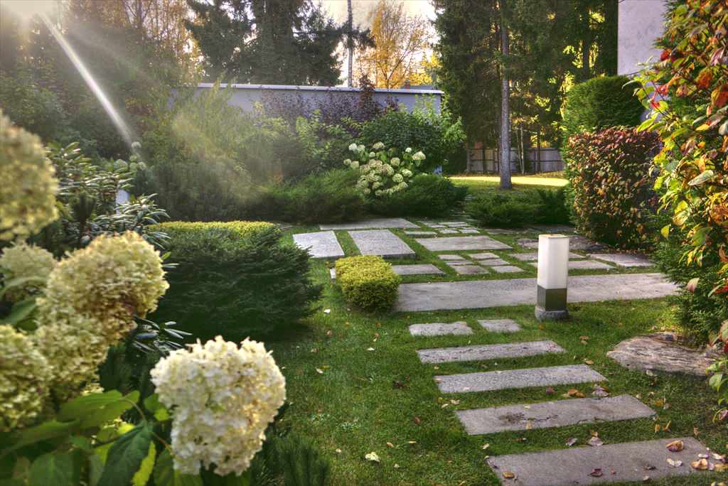 гравитация