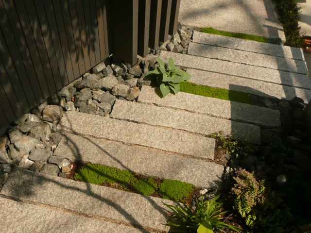 KR-HOUSE mid-century-garten