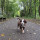frankie_gifford
