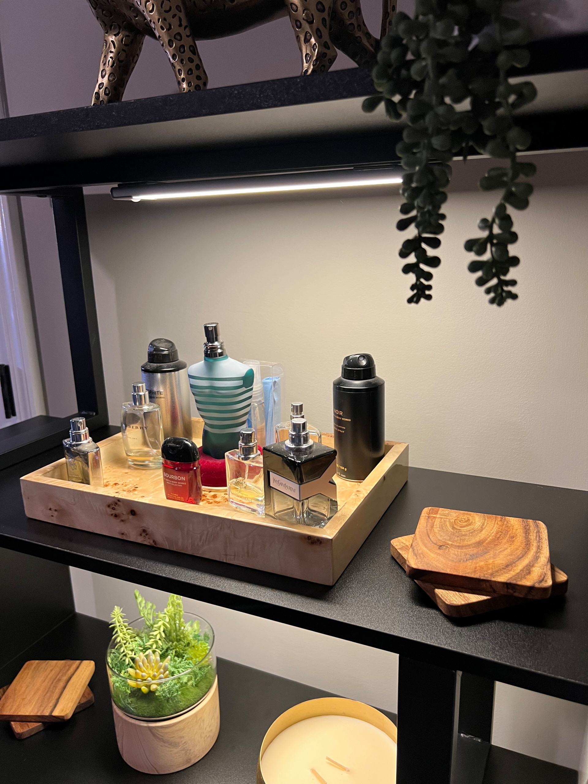 Organic Pieces on Bookshelf