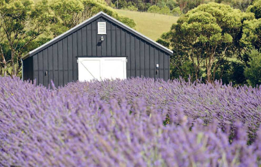 Inspiration for an industrial shed and granny flat in Auckland.