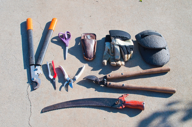Rose Pruning Tools 