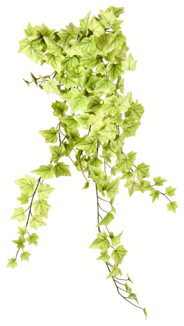 34 Light Green Ivy Hanging Bush Contemporary Artificial Plants And Trees By Virventures Houzz