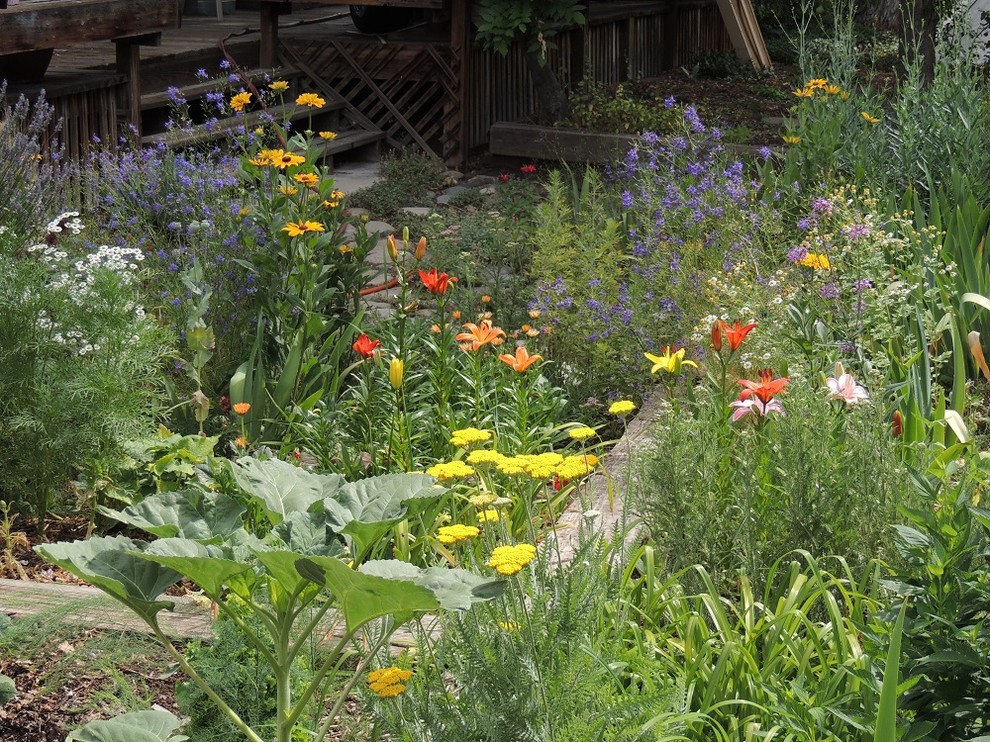 hot plot | Houzz Forum