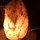 debbie_davidson7617