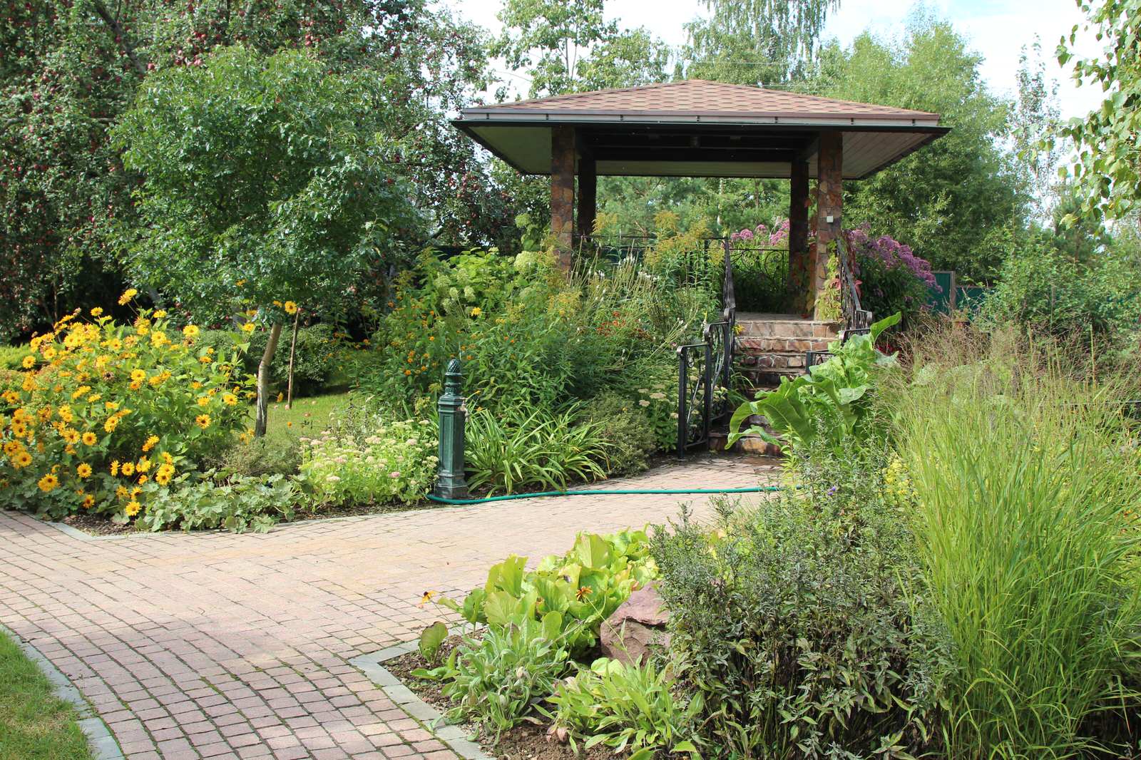 Цветущий летний сад