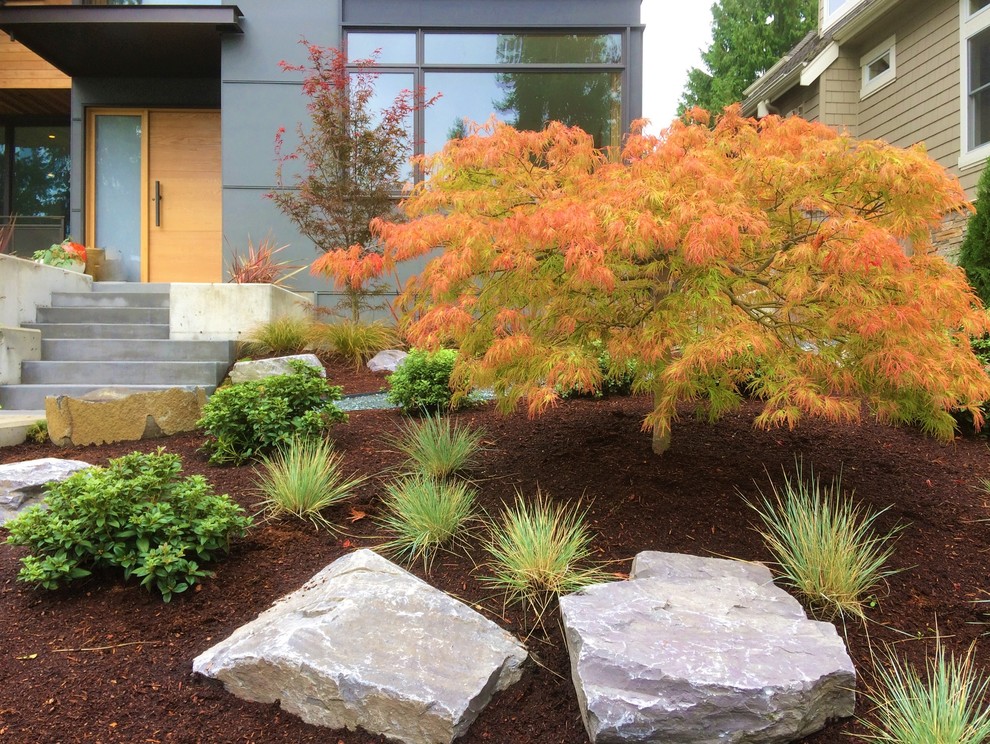 Design ideas for a contemporary front yard garden in Seattle.