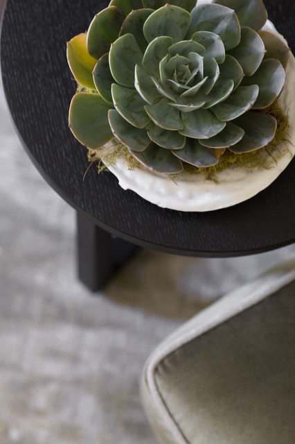 Sydney contemporary-vardagsrum