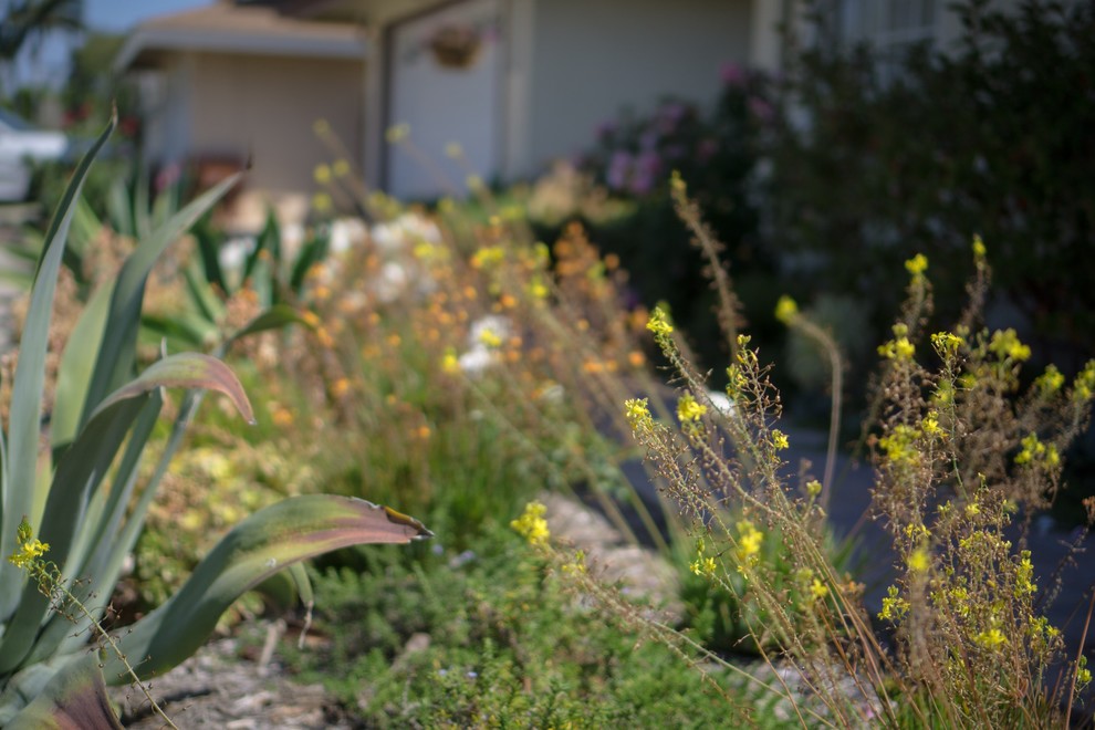 Design ideas for a mid-sized transitional drought-tolerant and full sun front yard brick landscaping in Orange County for summer.