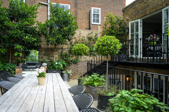 How to Plant for Outdoor Privacy When You Have No Mature Trees