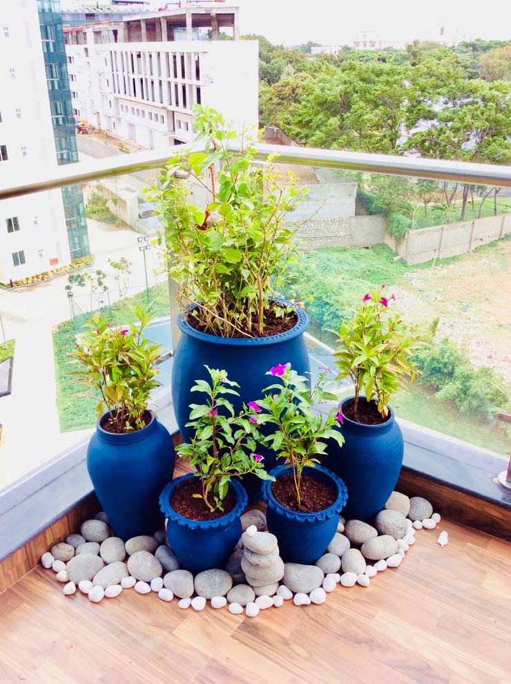 Photo of an Indian garden in Bengaluru.