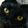 Last commented by swellcat