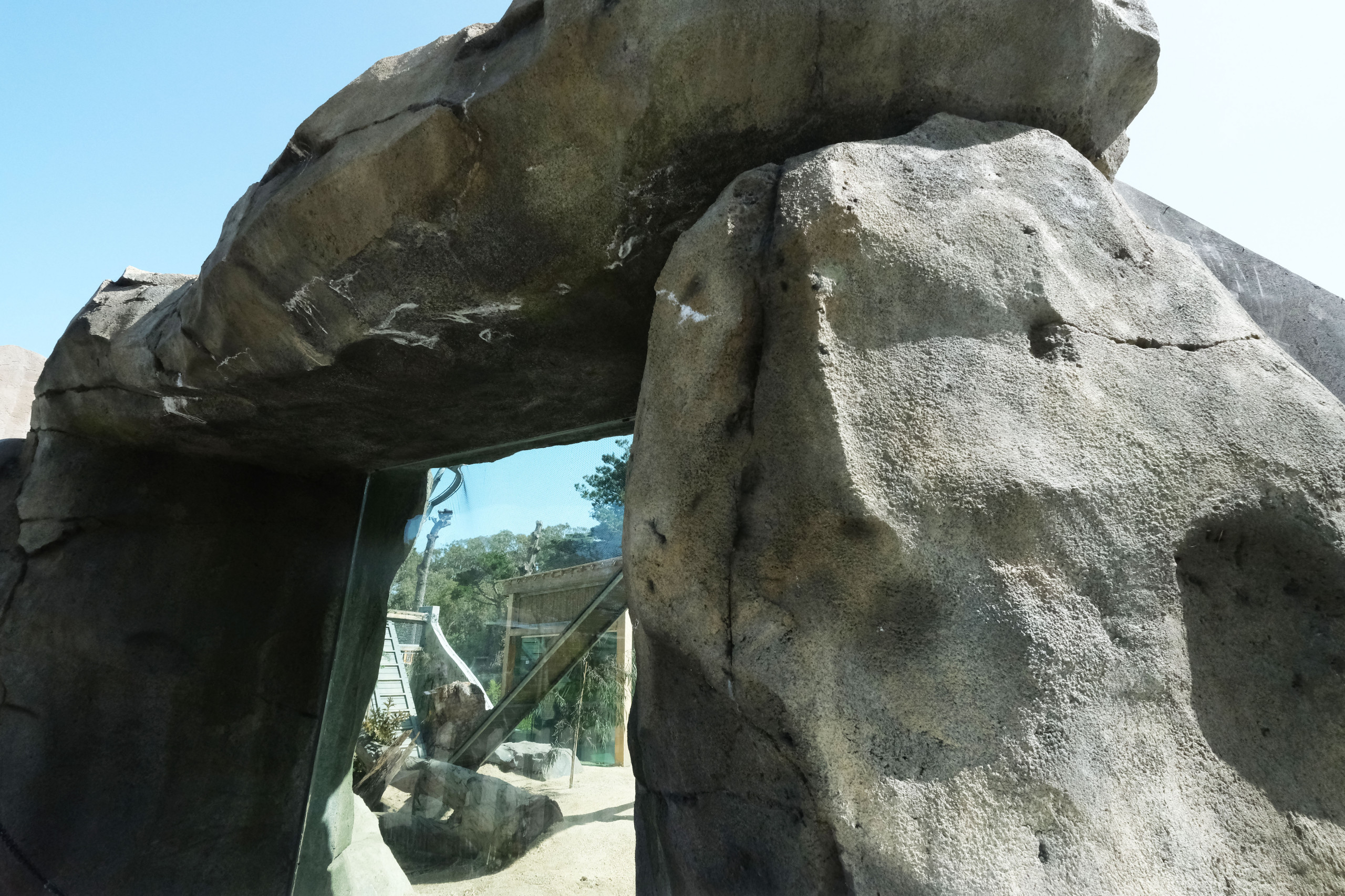 Snow Leopard Habitat