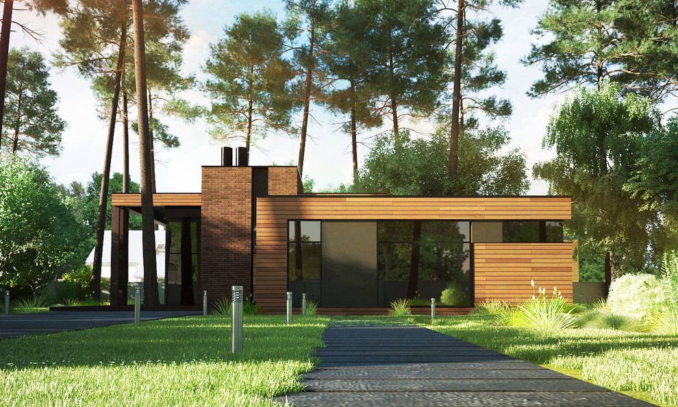 Визуализация дома г.Санкт-Петербург